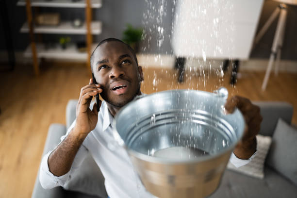 Best Commercial water damage restoration  in Silver Springs, NV