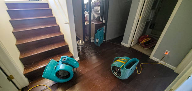 Best Water damage restoration near me  in Silver Springs, NV