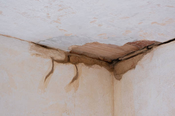  Silver Springs, NV Water damage restoration Pros