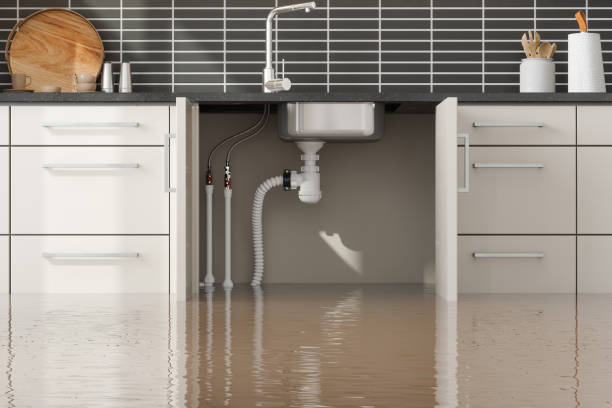 24/7 water damage repair in Silver Springs, NV