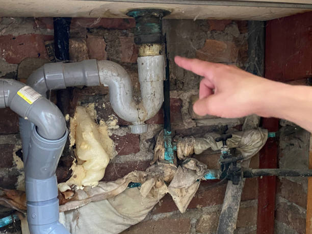 Reliable Silver Springs, NV Water damage restoration Solutions